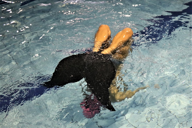 新莊報導 人魚體驗活動 認識到不一樣的自己