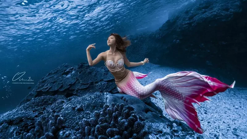 降級第一個周末！ 真人版美人魚現身「遠雄海洋公園」