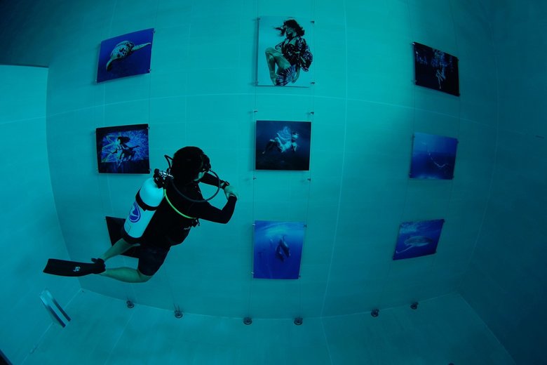 新唐人亞太台 亞洲首次水下攝影展 「海洋誓言」在台中呈現