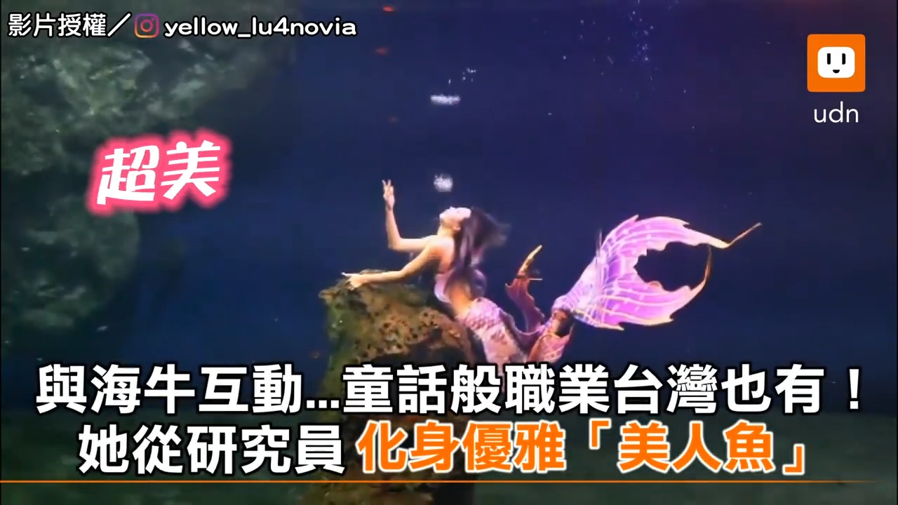 聯合新聞網 童話般職業台灣也有！她從研究員化身優雅「美人魚」