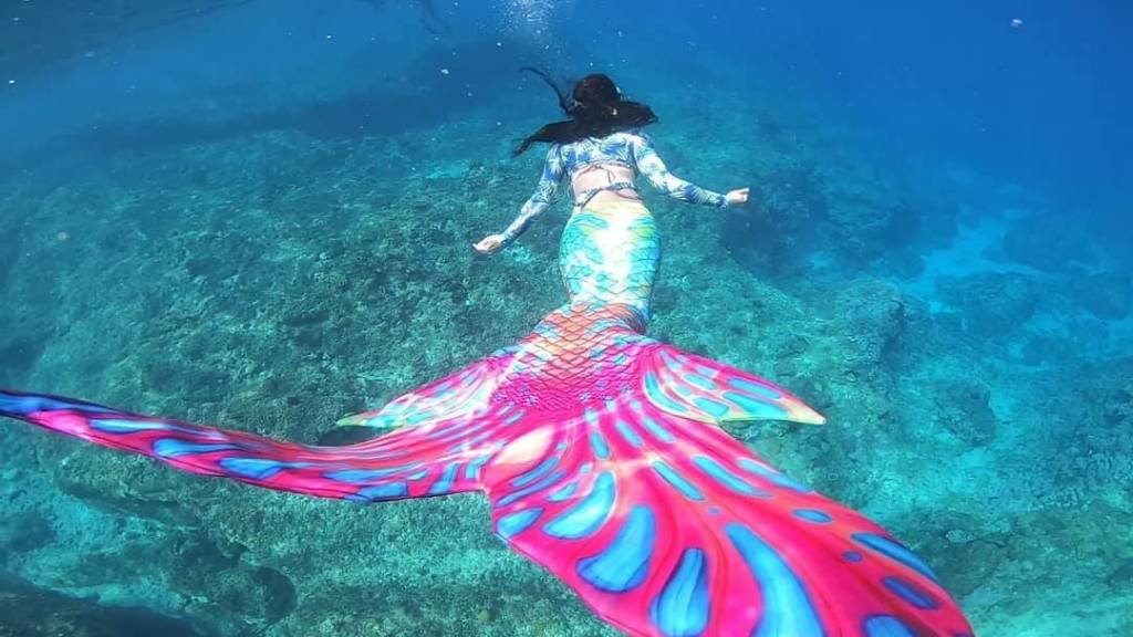 小世界 職業人魚 美麗傳說的背後