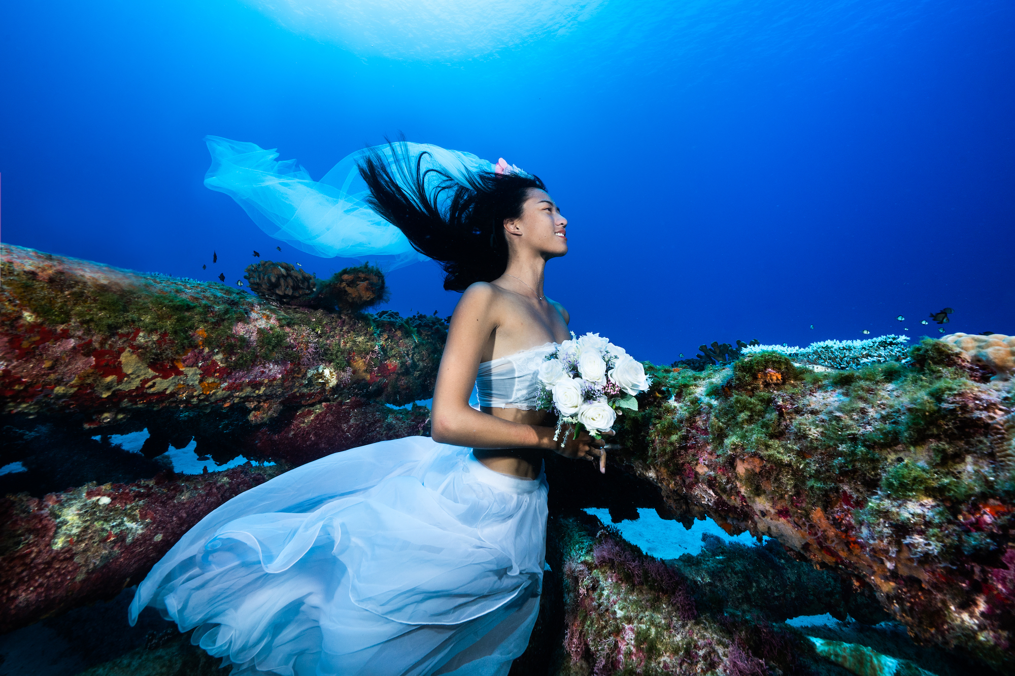 CO02744編輯已修復2_20111720444457823