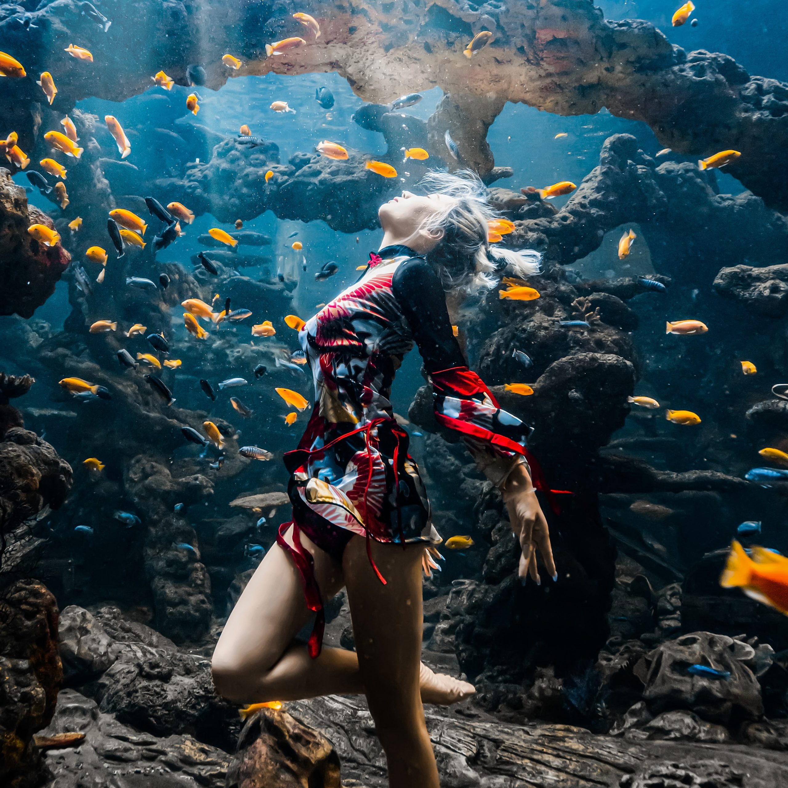 Fiona Cheung [芯芯]