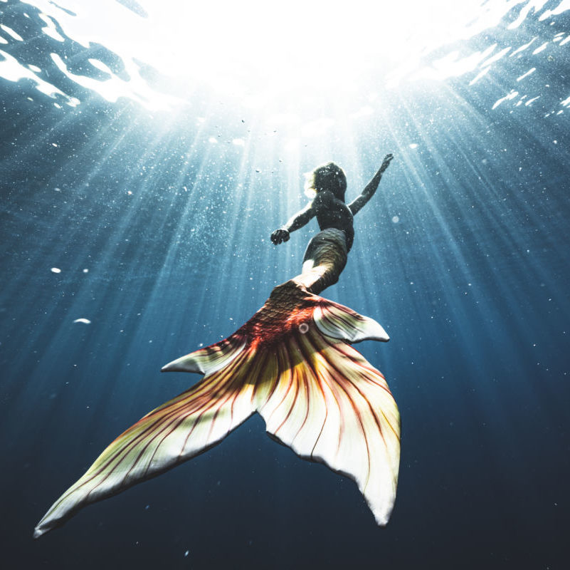 人魚養成－裝備篇：擁有自己的尾巴