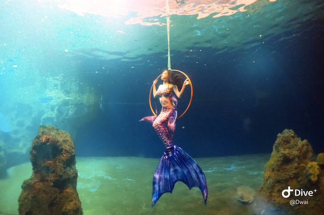 Dcard 我的工作是職業美人魚