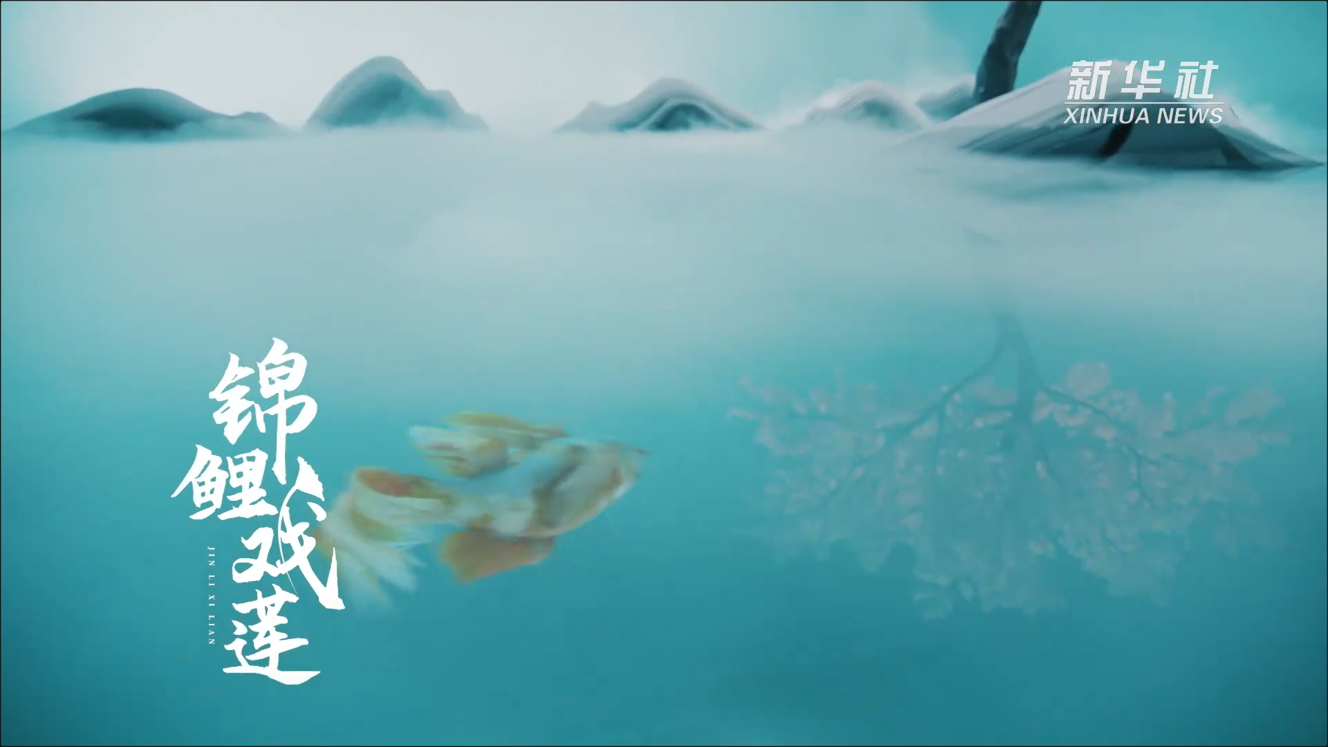 新华社 锦鲤戏