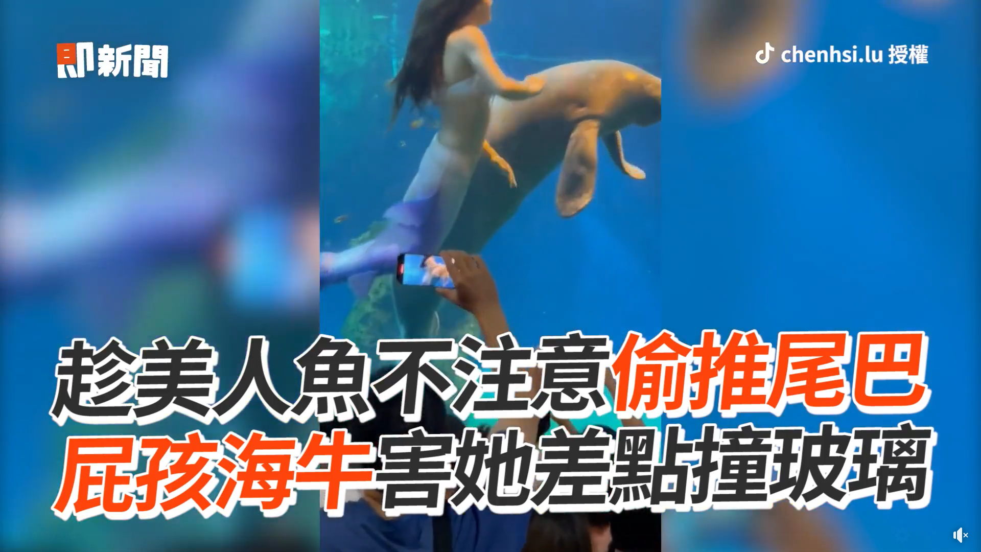 播吧 趁美人魚不注意偷推尾巴　屁孩海牛害她差點撞玻璃