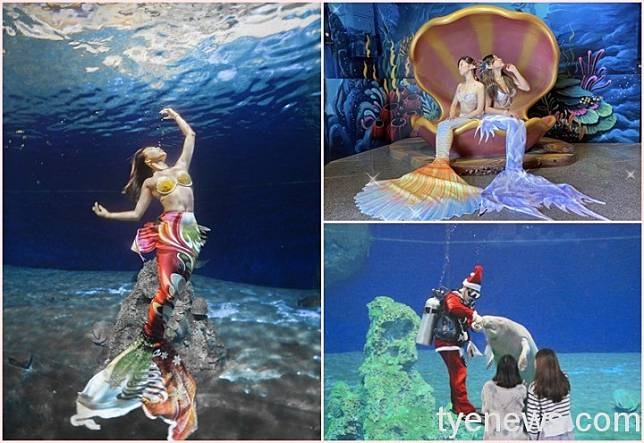 桃園電子報 遠雄海洋公園飄雪夢幻主題活動 美人魚與聖誕老公公開趴